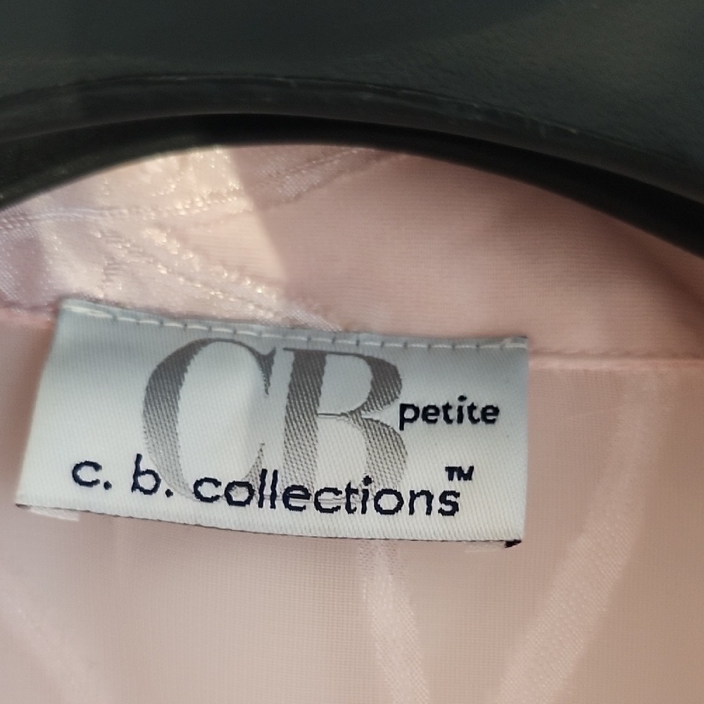 C.B. Collections Petite Chic Sheer Pink Button Down Shirt - Picture 4 of 7